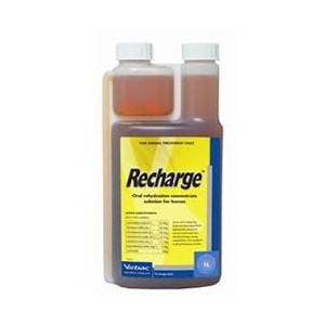 Recharge for Horses Virbac 1ltr