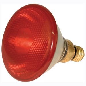 Heat Lamp Infrared Red 100w
