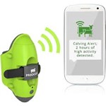 Moocall Calving Sensor 