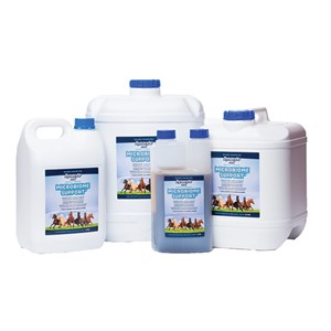 Dynavyte Equine Microbiome Support 5L