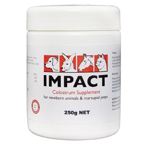 Impact Colostrum Supplement 250G