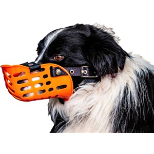 Plastic Working Dog Muzzle Agboss