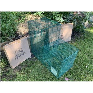 Myna Bird Trap and Holding Cage