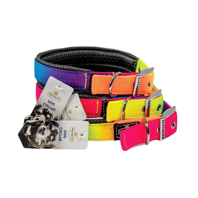 Prestige Soft Padded Collar Rainbow Each