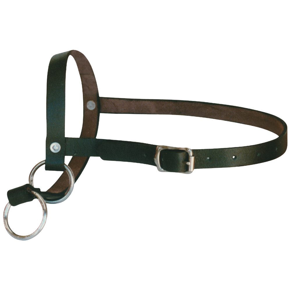 Halter Leather Calf Leading Black