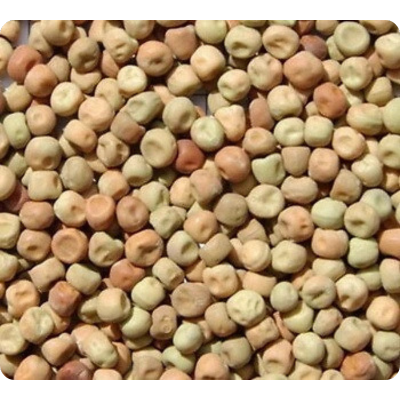 [AVIDUNPEAS20KG] Avi Grain Dun Peas 20kg