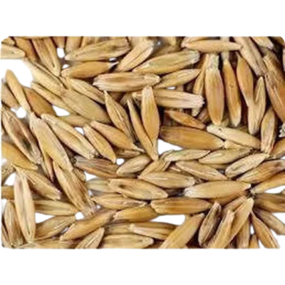 [AVIOAT20] Avi Grain Whole Oats 20kg