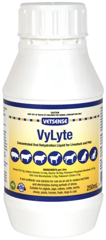 [VYLYTE250ML] Vylyte Liquid 250ml Vetsense