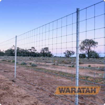 [HINGJWSSS1515015250] Stocksafe T 15-150-15 250m Waratah Longlife Blue