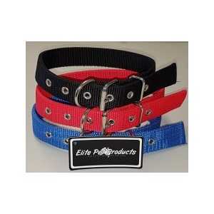Drover Webbing Collar 60cm x 25mm All Colours