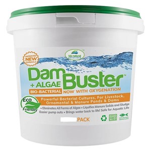 Dam Buster 32Pk Bucket