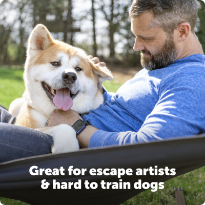 PetSafe Stubborn Dog In-Ground Fence System