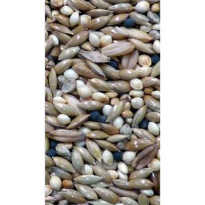 Avi Grain Canary Mix Bird Seed 20kg
