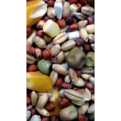 Avi Grain Pigeon Mix Bird Seed 20kg