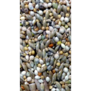 Avi Grain Budgie Blue Bird Seed 20kg