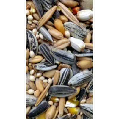 Avi Grain Parrot Blue Bird Seed 20kg