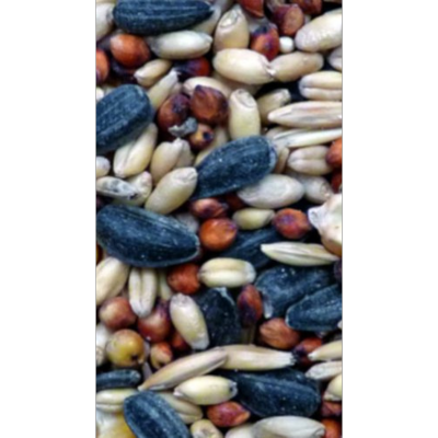 Avi Grain Wild Bird Mix Seed 20kg