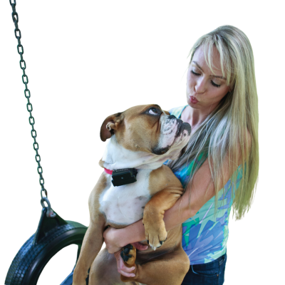 PetSafe Stubborn Dog In-Ground Fence System