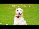 PetSafe Add a Dog Deluxe Ultralight Dog Receiver Collar
