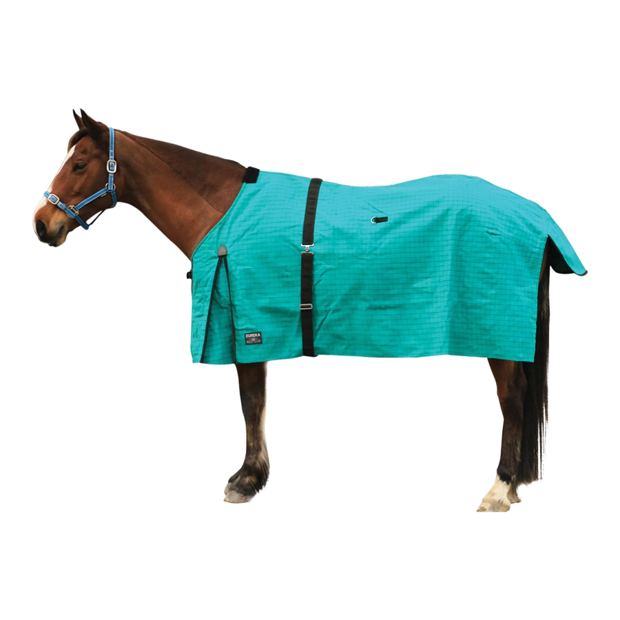 Horse Rug Canvas Winter Green Lined (Eureka)