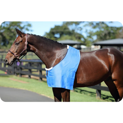Showmaster Delux Rug Bib
