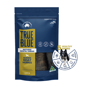True Blue Aussie Goat Horns 3pc
