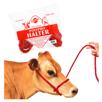 Halter Cow Polypro - Red