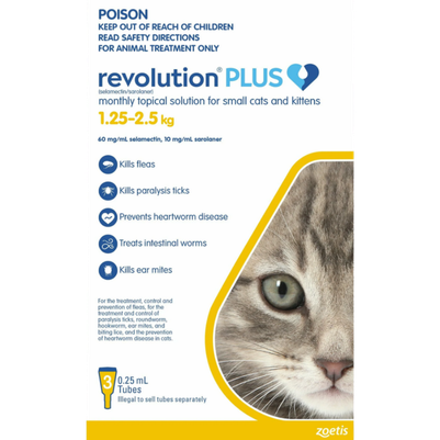 Revolution Plus Cat