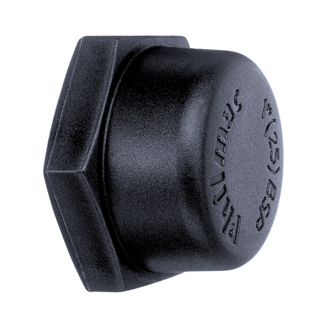 Cap BSP 2" Philmac