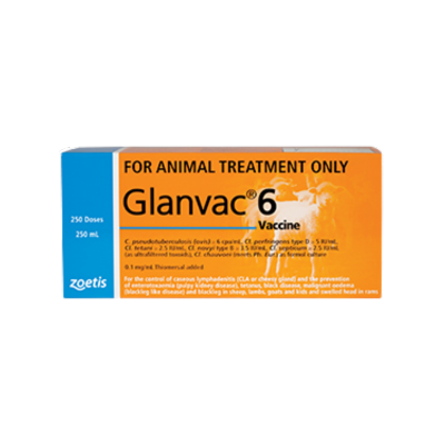 Glanvac 6 100ml Zoetis