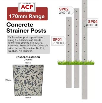 Concrete Strainer Post 170mm x 2.4m (8ft) 5/5 Hole (12x16mm) SP02