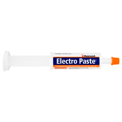 Ranvet Electro Paste 60ml