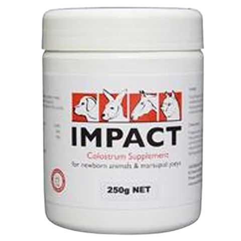 Impact Colostrum Supplement 250G