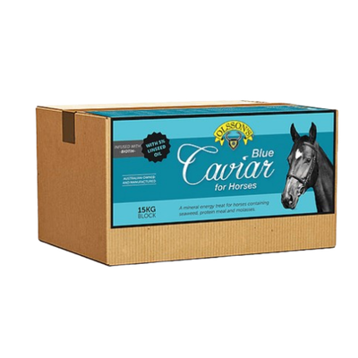 Olsson Equine Blue Caviar Block 16Kg