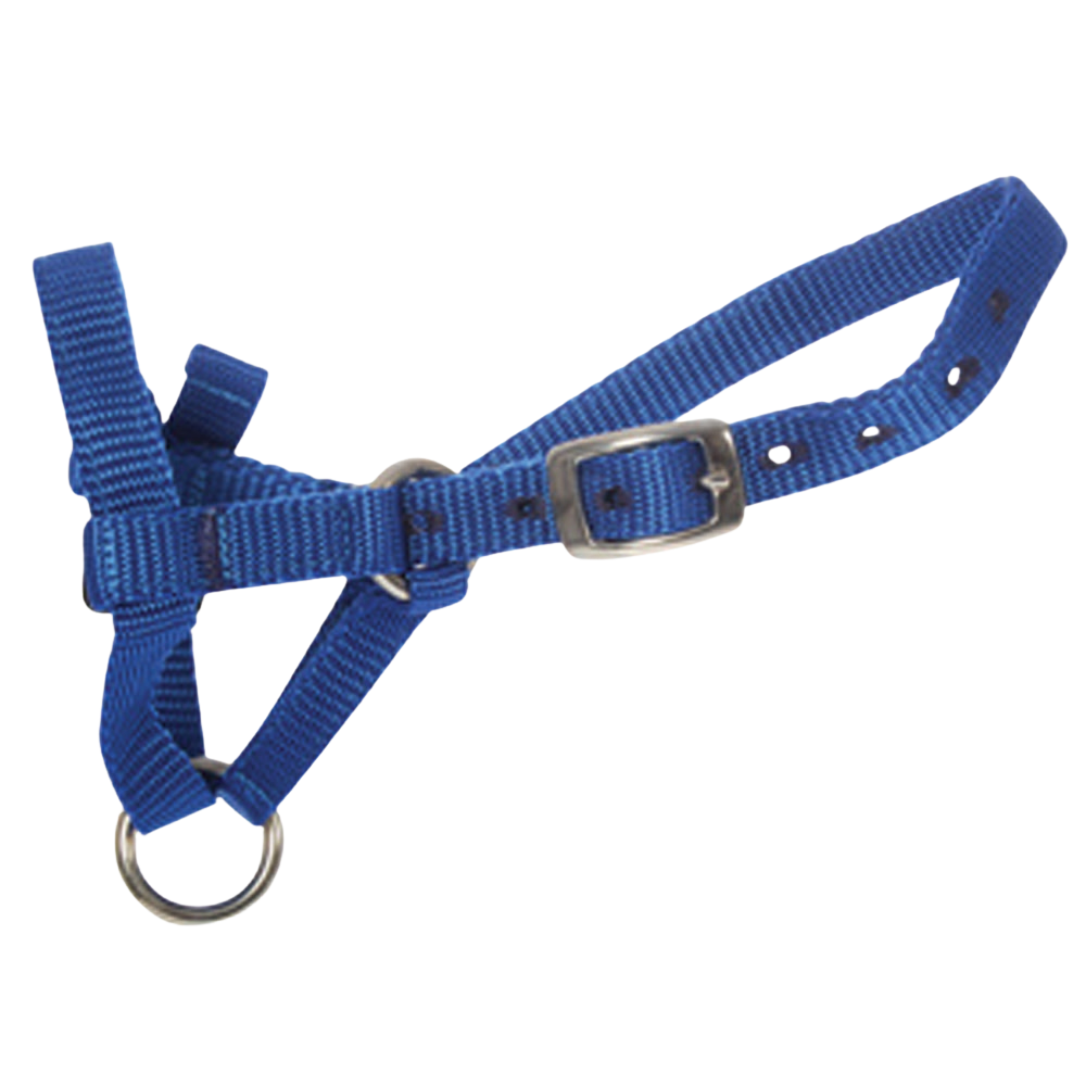 Halter Alpaca Med Blue