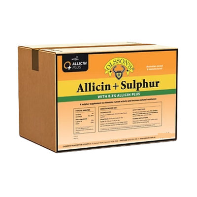 Olsson Allicin + Sulphur Block 20Kg