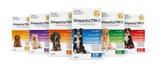 Simparica Trio