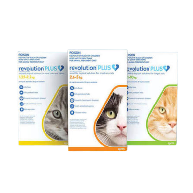 Revolution Plus Cat