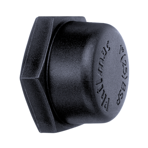[90490300] Cap BSP 1" Philmac