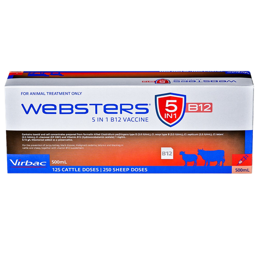[WEB5IN1B12] Webster 5 in 1 B12 500ml