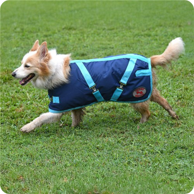 [RUGDTM14] Dog Rug - ThermoMaster 36cm - Size 14