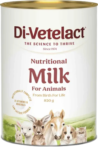 [DIVETPWDR850G] Divetelact Original DV Powder 850gm