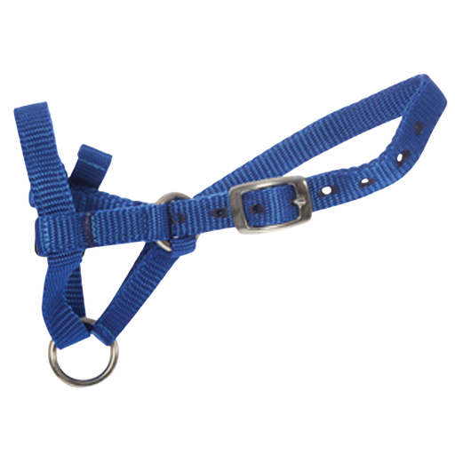 [203489] Halter Alpaca Med Blue