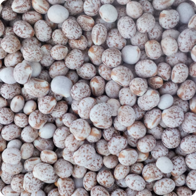 [BIRDAVILUPWHO20KG] Avi Grain Lupins Whole 20kg
