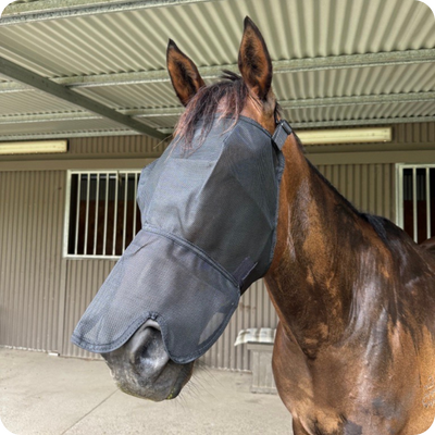 [6372FV] Flymask & Nose Protector Eureka - Cob
