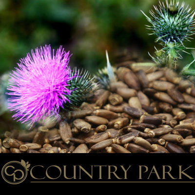[COUPMILKT1KG] Country Park St Marys Milk Thistle Powder 1kg