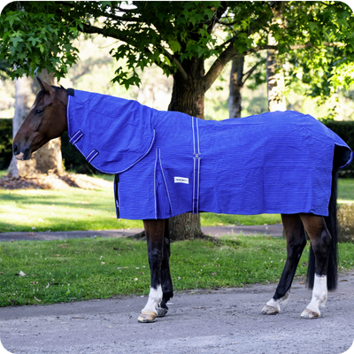 [6931RU] Horse Rug Canvas Combo Unlined Blue 6'0