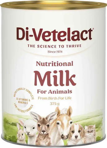 [DIVETPWDR375G] Divetelact Original DV Powder 375gm