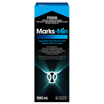 [MARKSMINB12500ML] BI Marks Min Plus B12 500ml